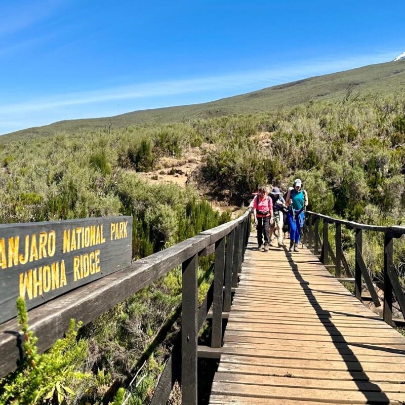 Kilimanjaro