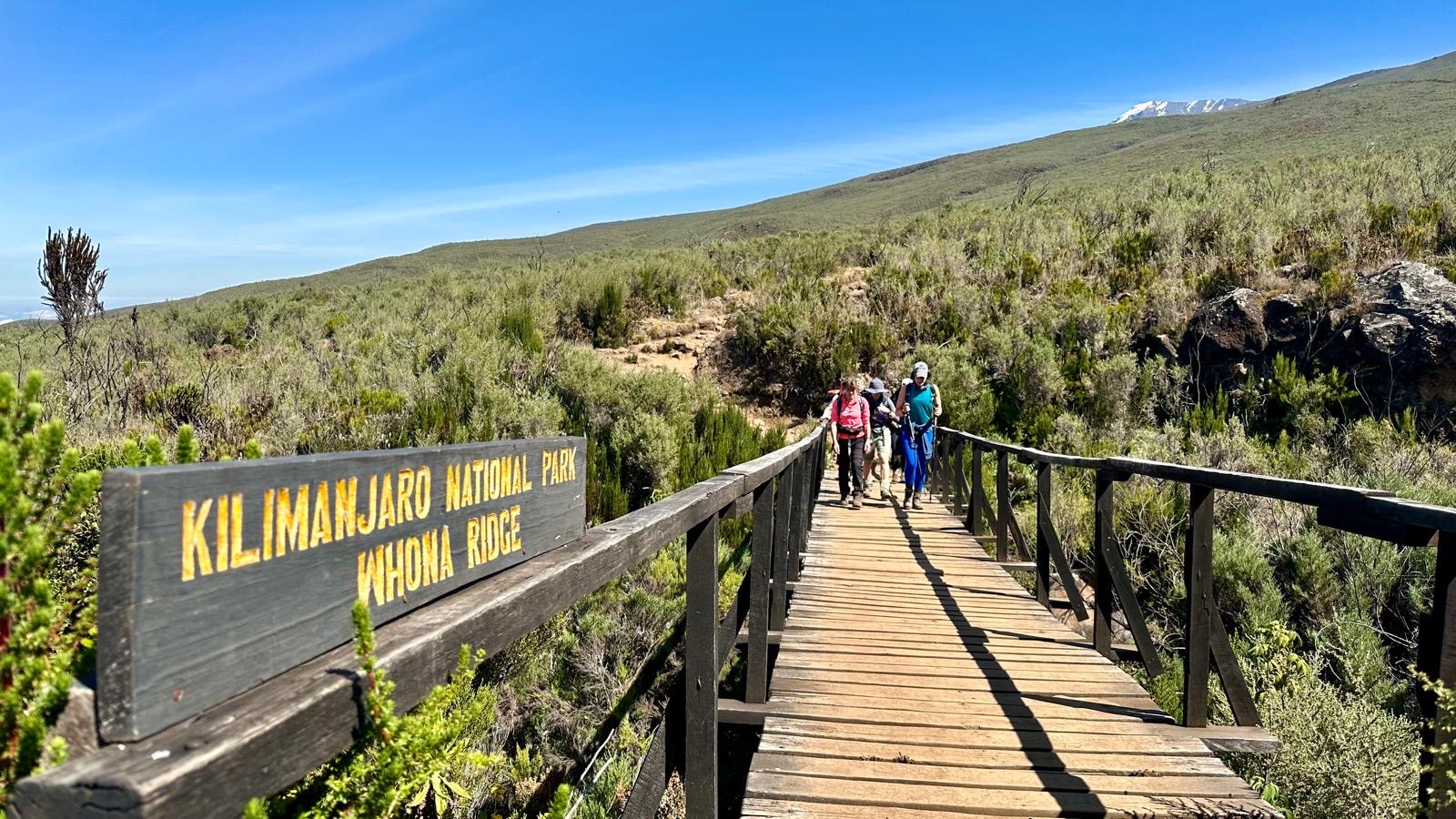 Our Kilimanjaro Adventure Experience 